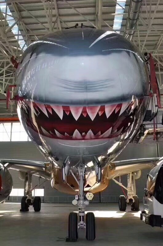 jet-front-shark